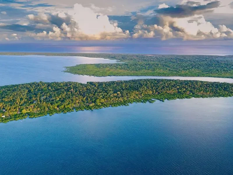 Tanzania rainforest tours